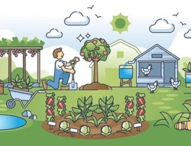 Semez des graines de permaculture partout !