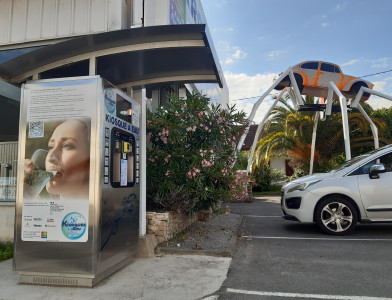 Optimisez notre visibilité avec Google Ads !