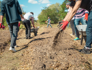 Participez au déploiement de la ferme urbaine permaculturelle Intégraterre - bis