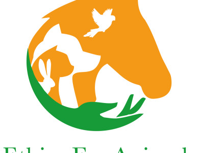 Soyez notre Business Analyst pour la cause animale