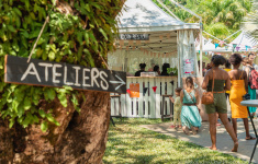 Aidez-nous à communiquer sur notre festival Alternayana !