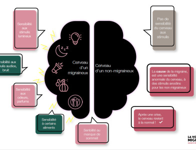 Appuyez la coordination des projets