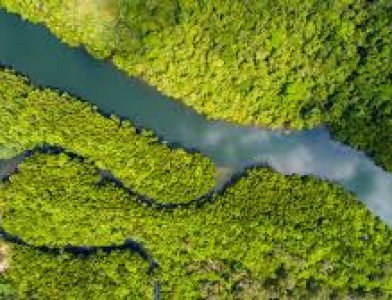 Crée l’image d’un refuge qui protège la vie sauvage !