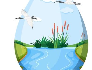 Accompagnez des jeunes à la Marche pour l'eau