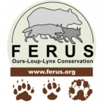 FERUS