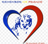 Remember Me France