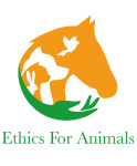 Ethics For Animals Foundation