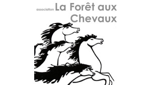 Association La Forêt aux Chevaux